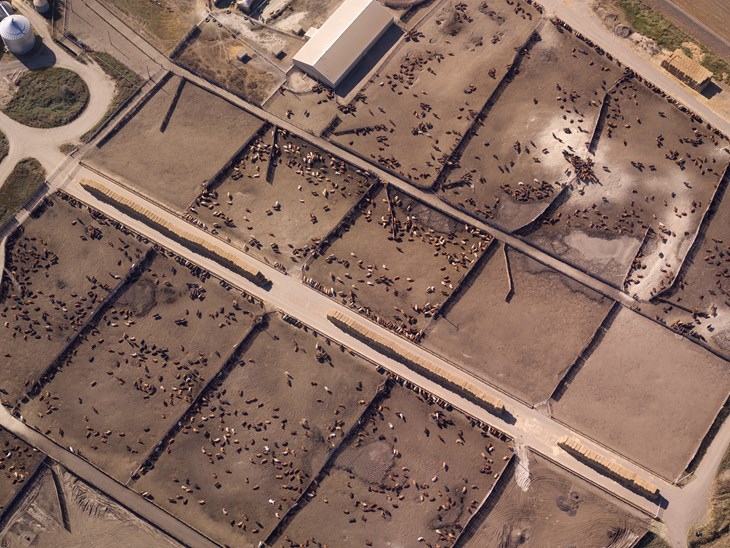 Ariel view of barren feed lots