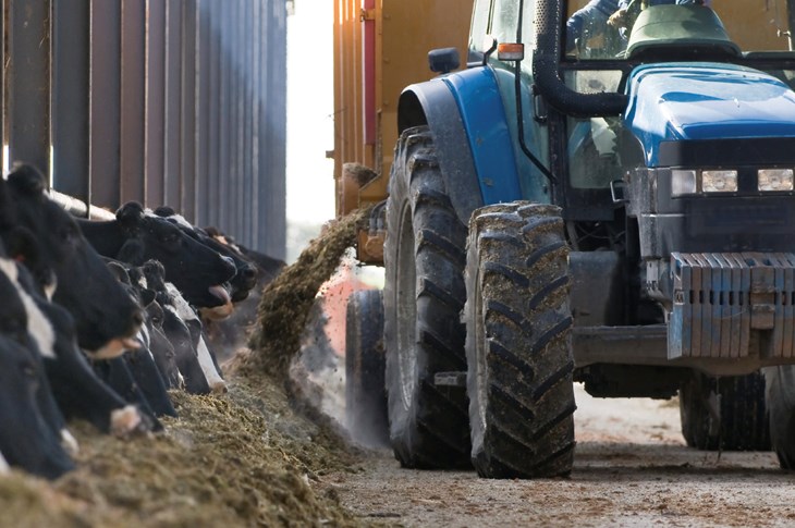 Feeding in Indoor Cattle Farm 1701x1129.jpg