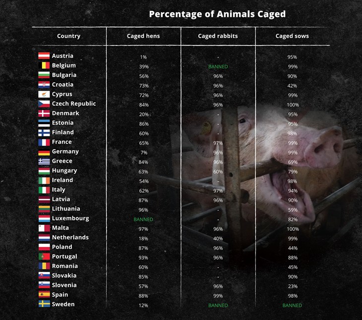 Caged Animals By Country Graph 2000x1771.jpg
