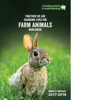 Impact report 17-18 cover 237x335.jpg