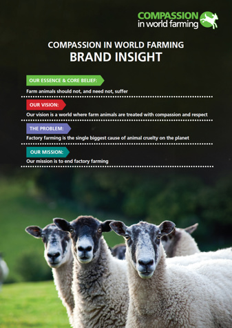 Brand insight cover 1081x1524.jpg