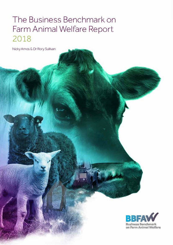 BBFAW Report Front Cover.jpg