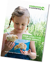 legacy pack front cover