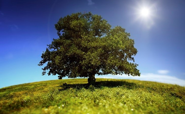iStock_000014408068XLarge.jpg (1)