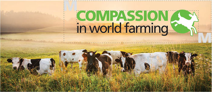 117339_CIWF_logo clearance_3.jpg