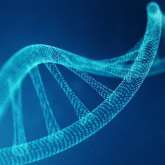 Cloning & genetics