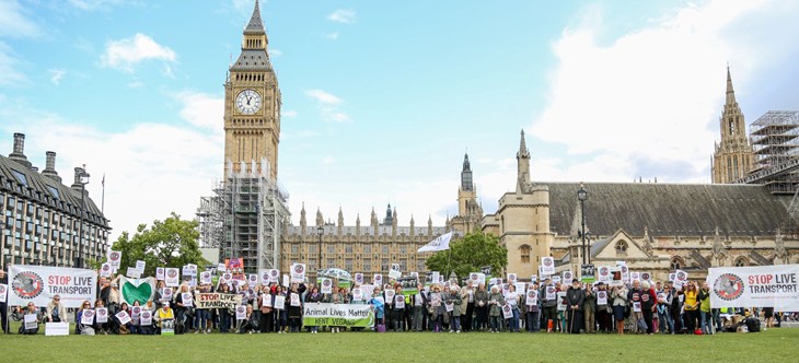Live Transport Rally 2017 London