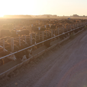 Transforming our Food System