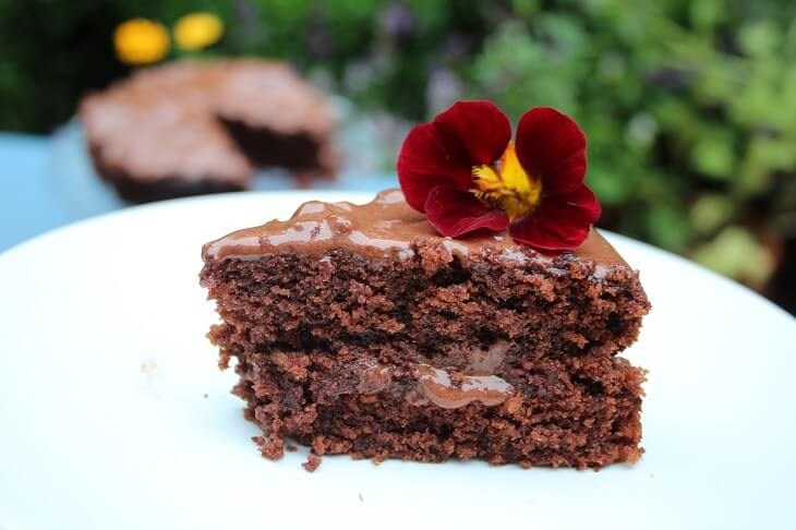 Chocolate cake slice with edible flower