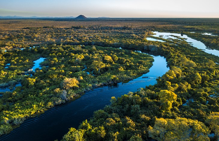 Biodiversity Istock