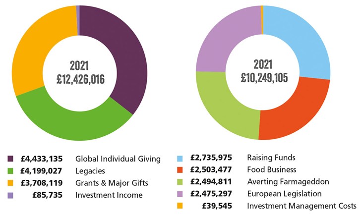 Global Income and Expediture infographics