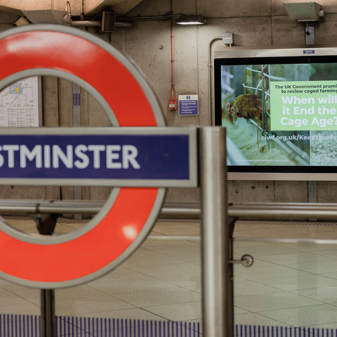 UK Government: Keep Your Promises