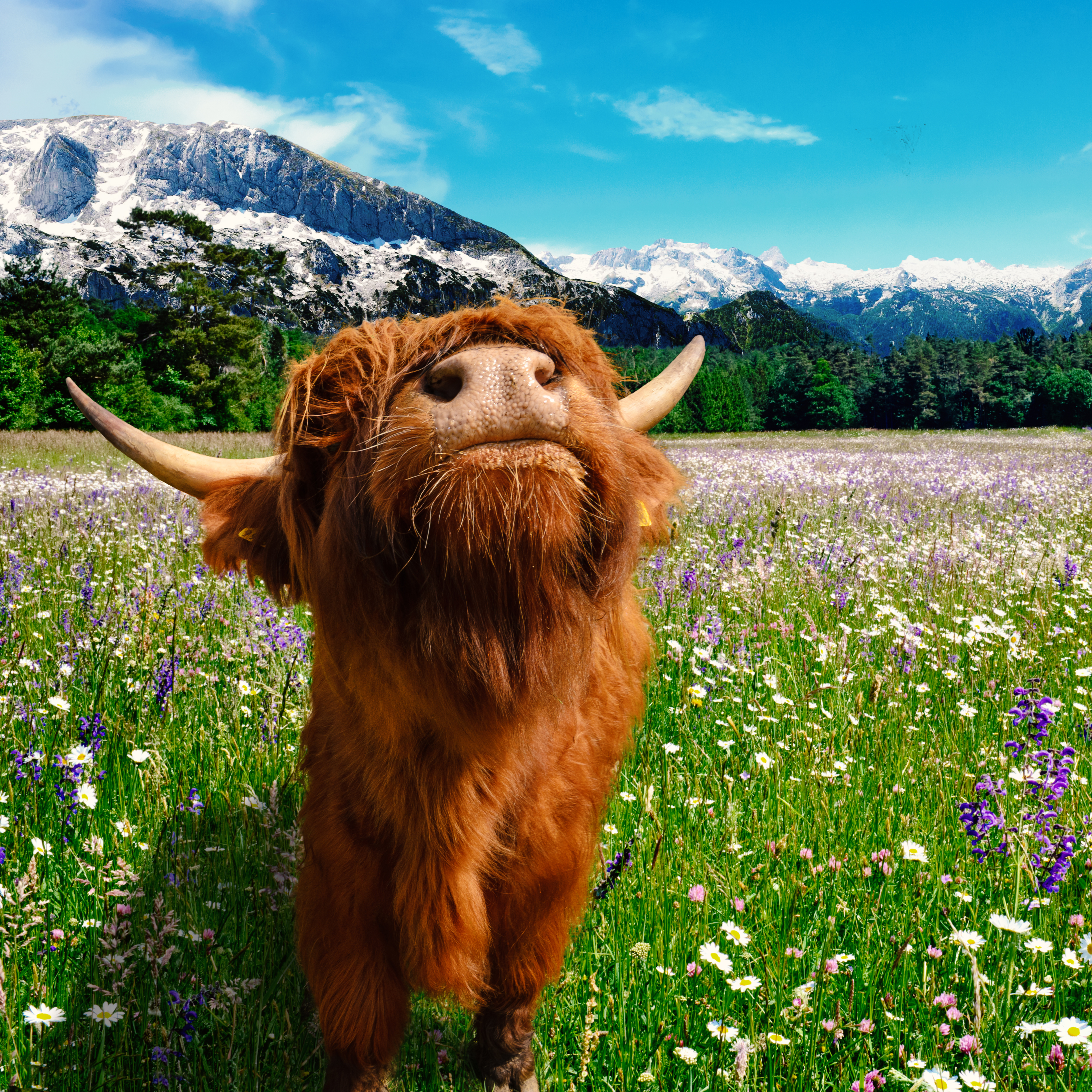 Global Impact Review 2022