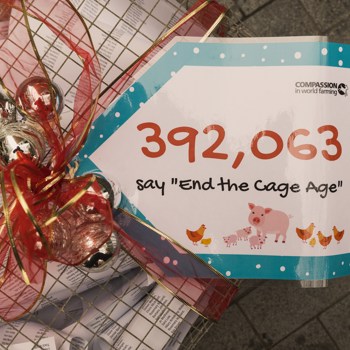 All we want for Christmas is action on cages