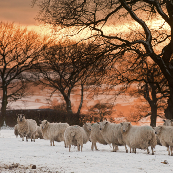 Remarkable progress in exceptional times