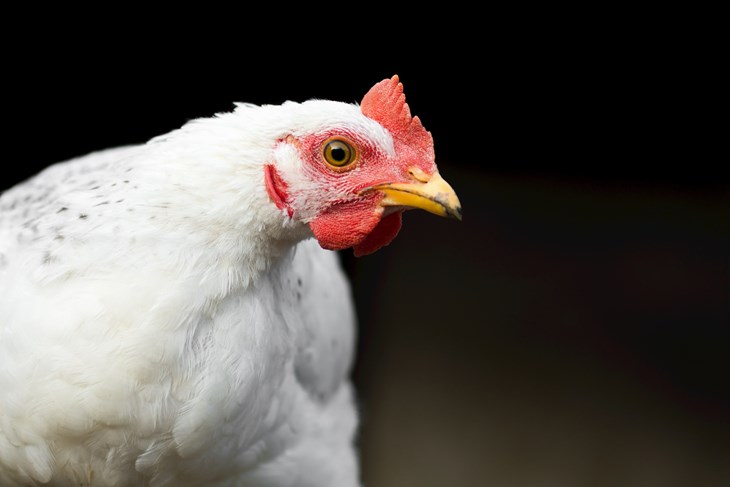 74156 © Istockphoto