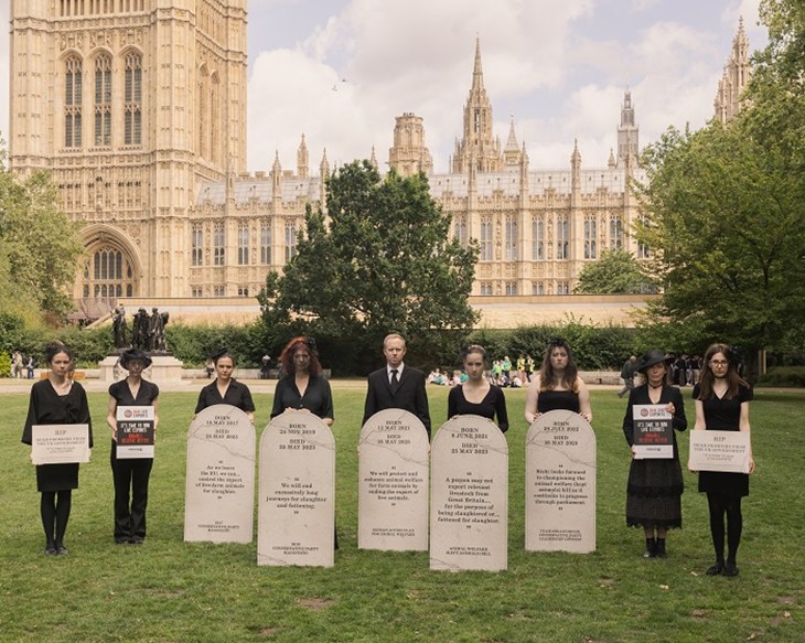 CIWF staff and supporters protest at Parliament Square