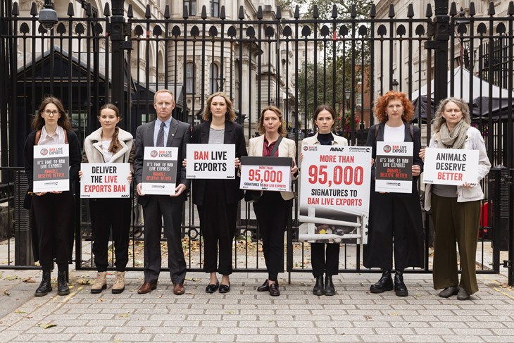 CIWF At 10 Downing Street, London, With Joanna Lumley 3