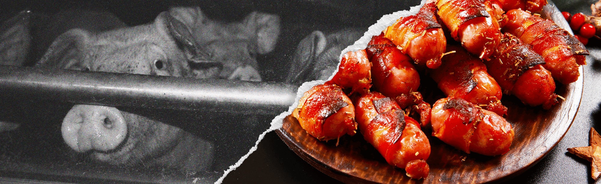 Expose hidden suffering and end factory farming