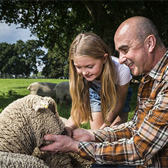 Achieving Milestones & Our Quest For A Kinder, More Compassionate World