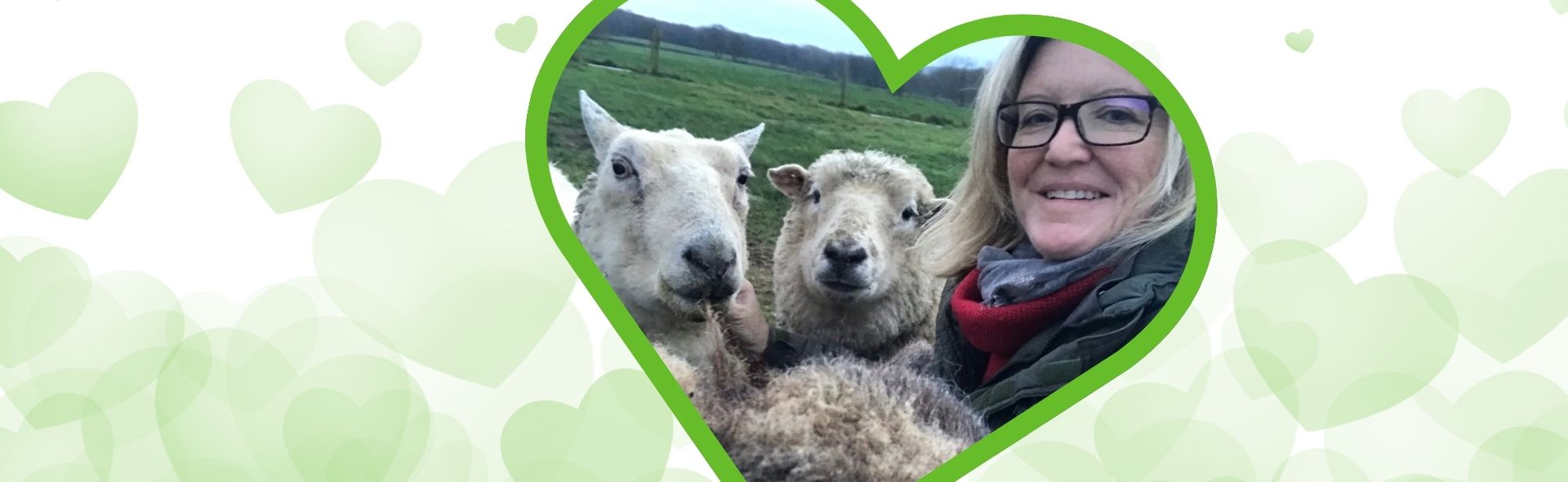 The world's leading farm animal welfare organisation | Compassion in ...