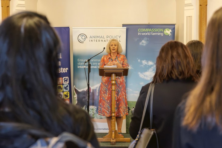 Ruth Jones MP speaks at animal welfare trade event
